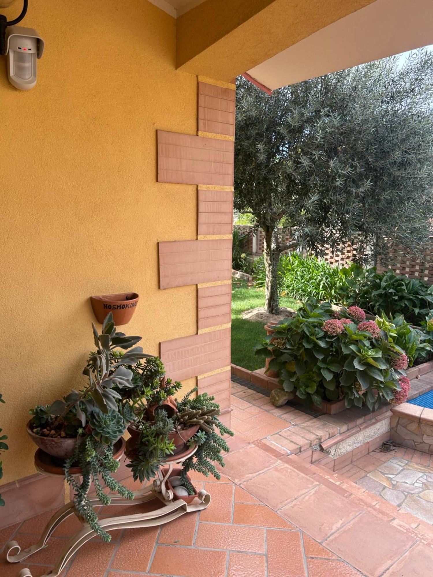 קטנזארו B&B Villa Maria מראה חיצוני תמונה